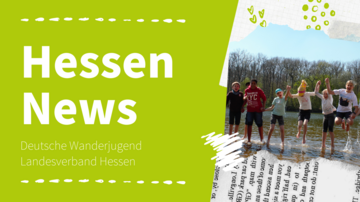 Link Newsletter