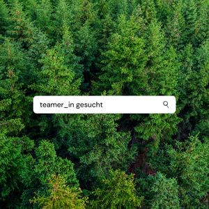 Teamer_in gesucht