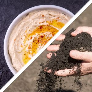 Hummus und Humus